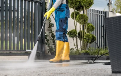 A Year-Round Guide to Landscaping Maintenance: Tips and Tricks