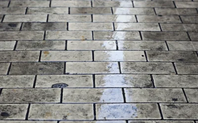 A Guide to Sealing a Block Paved Driveway: Tips and Techniques