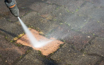 How to Remove Black Spots from Indian Stone?