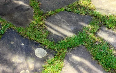 How to Remove Weeds from Patio?