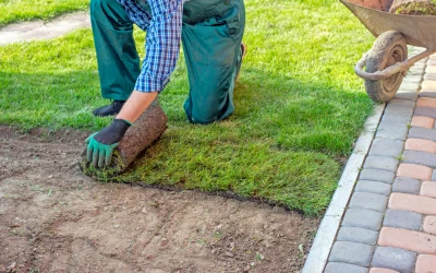When to Lay Turf in the UK: Best Time and Tips