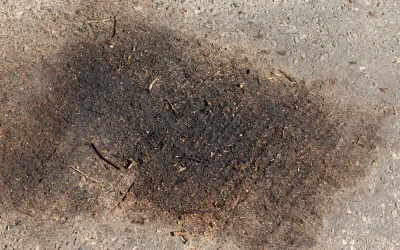 Will WD40 Remove Oil from Block Paving?