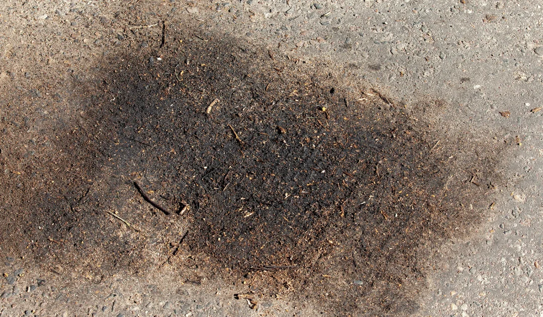 Will WD40 Remove Oil from Block Paving?