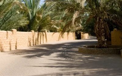 How Much Does a Resin Driveway Cost? A Comprehensive Guide