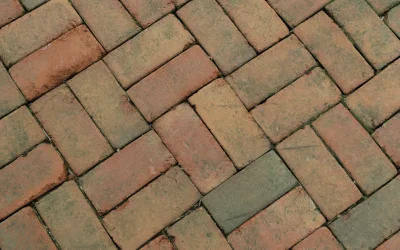 How to Stop Your Patio Going Green: Tips and Tricks