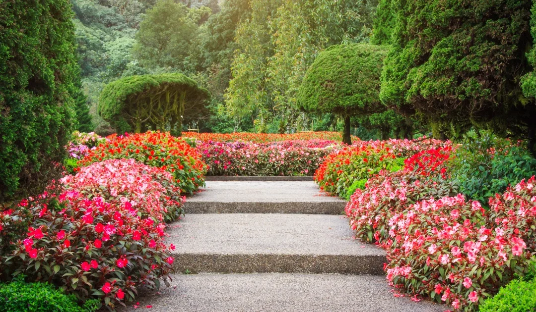 What is Landscape Gardening: Turn Your Vision into Reality