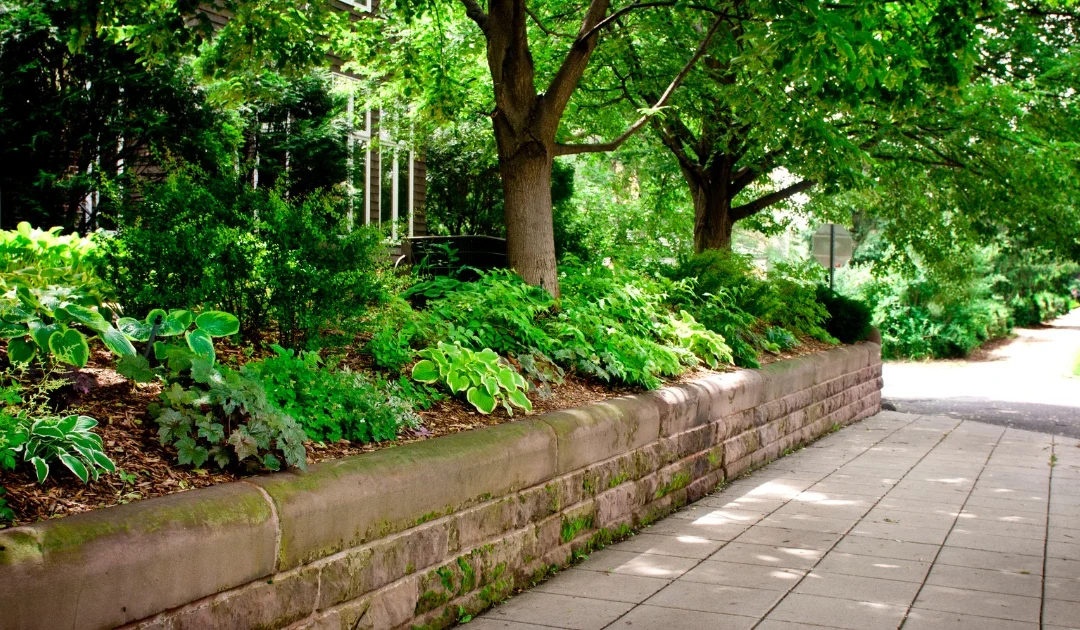 What is Urban Landscaping? Beyond Concrete Jungles